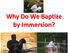 Why Do We Baptize by Immersion?