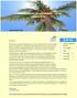 Caribbean Palm Village Resort - Aruba Newsletter