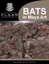 April 2008 BATS. in Maya Art. June Photo by Jose O. Cajas. Author: Antonieta Cajas / Editor: Cristina Guirola