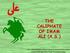 THE CALIPHATE OF IMAM ALI (A.S.)