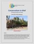 Conservatism in Mali The State of Islam and Jihad
