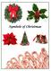 Symbols of Christmas 1 Symbols of Christmas