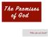 Lorem Ipsum Dolor. The Promises of God. Who can we trust?