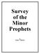 Survey of the Minor Prophets. by Duane L. Anderson