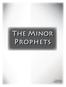 The Minor Prophets. Written By: Charles Willis