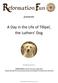 A Day in the Life of Tӧlpel, the Luthers Dog