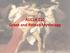 AUCLA 102 Greek and Roman Mythology