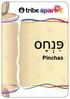 igniting your shabbat services Pinchas
