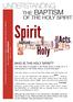 UNDERSTANDING THE BAPTISM OF THE HOLY SPIRIT And these signs will accompany those who believe: In my name they will drive out demons;