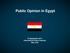 Public Opinion in Egypt. 19 September 2011 International Peace Institute New York