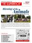 the illumination news from Saturday, October 11 a.m. Inside this Issue