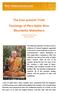The Ever-present Truth Teachings of Phra Ajahn Mun Bhuridatta Mahathera