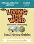 SMALL GROUP GUIDE GUIDE #1-5 SAMPLE DISPLAY COPY. Narrative Lectionary. Small Group Guides. Discussion Guides