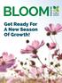 BLOOM MAGAZINE. Get Ready For A New Season Of Growth!