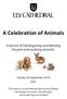 A Celebration of Animals