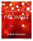 AWAKEN TO THE PROMISE. A New Covenant