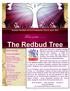 The Redbud Tree. From under... Monthly Newsletter of First Presbyterian Church April, 2016