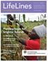 LifeLines. Spotlight: Planting hope for brighter futures. In this issue. Connecting God s People. ELCA World Hunger: Seedlings of hope