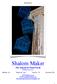 Shalom Maker The Journal of Visual Torah Rabbi Jerry Levy