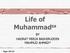 Life of Muhammad sa. BY HADRAT MIRZA BASHIRUDDIN MAHMUD AHMAD ra. Pages