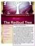 The Redbud Tree. From under... A prayer for uncertain times.. Monthly Newsletter of First Presbyterian Church July, 2016