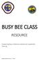 BUSY BEE CLASS RESOURCE. Greater Sydney Conference Adventurer Leadership Training. Margaret Williams Version 1 7/2/15