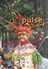 pulse Special Pacific Issue Fiji: Time to Build PNG Celebrations 40 YEARS