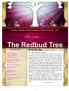 The Redbud Tree. From under... A Note From Pastor... Monthly Newsletter of First Presbyterian Church December, 2012.