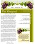 The Vineyard. Standing on Holy Ground. Volume 2 March/April 2012 Issue 7